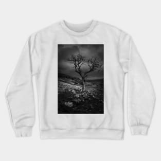 Anyway The Wind Blows Crewneck Sweatshirt